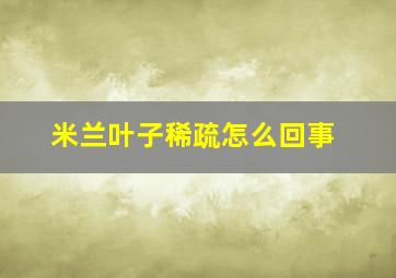 米兰叶子稀疏怎么回事