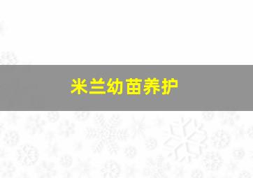 米兰幼苗养护