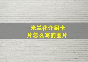 米兰花介绍卡片怎么写的图片