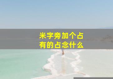 米字旁加个占有的占念什么