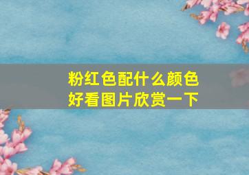 粉红色配什么颜色好看图片欣赏一下