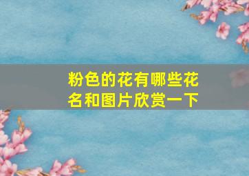 粉色的花有哪些花名和图片欣赏一下