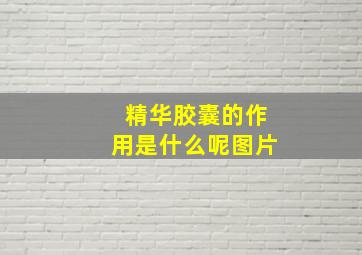 精华胶囊的作用是什么呢图片