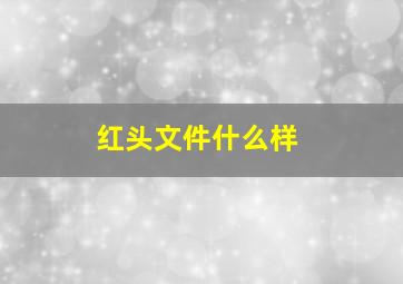 红头文件什么样