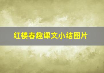 红楼春趣课文小结图片