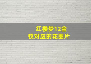 红楼梦12金钗对应的花图片