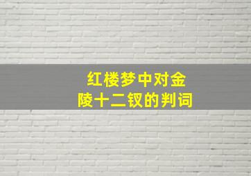 红楼梦中对金陵十二钗的判词