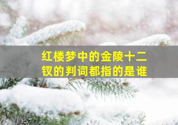 红楼梦中的金陵十二钗的判词都指的是谁