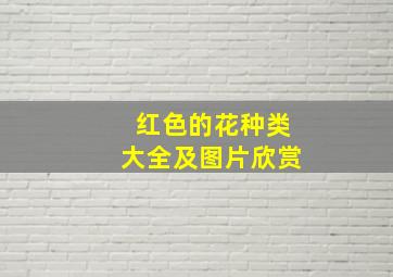 红色的花种类大全及图片欣赏