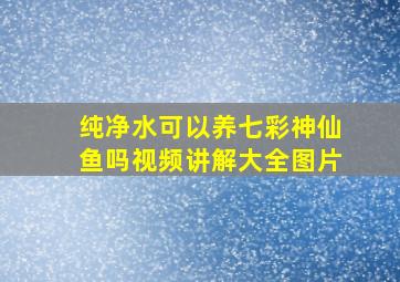 纯净水可以养七彩神仙鱼吗视频讲解大全图片