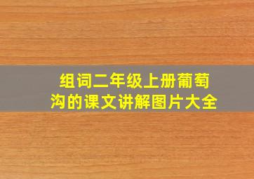 组词二年级上册葡萄沟的课文讲解图片大全