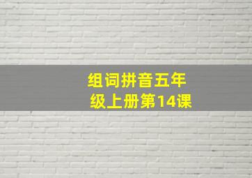 组词拼音五年级上册第14课