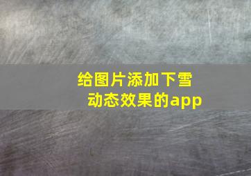 给图片添加下雪动态效果的app