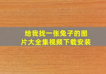 给我找一张兔子的图片大全集视频下载安装