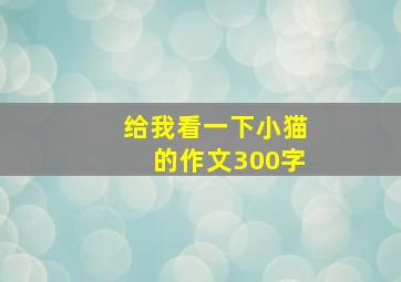 给我看一下小猫的作文300字