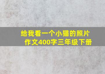 给我看一个小猫的照片作文400字三年级下册