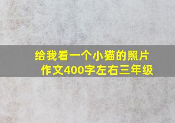 给我看一个小猫的照片作文400字左右三年级