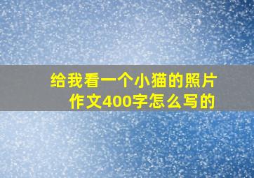 给我看一个小猫的照片作文400字怎么写的