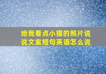 给我看点小猫的照片说说文案短句英语怎么说