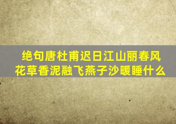 绝句唐杜甫迟日江山丽春风花草香泥融飞燕子沙暖睡什么