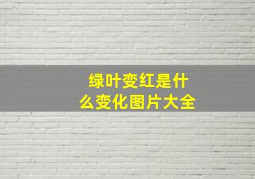 绿叶变红是什么变化图片大全