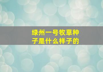 绿州一号牧草种子是什么样子的