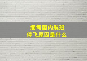 缅甸国内航班停飞原因是什么