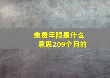 缴费年限是什么意思209个月的