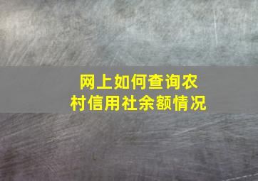 网上如何查询农村信用社余额情况