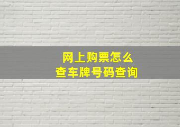 网上购票怎么查车牌号码查询