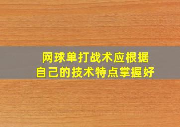 网球单打战术应根据自己的技术特点掌握好