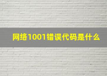 网络1001错误代码是什么