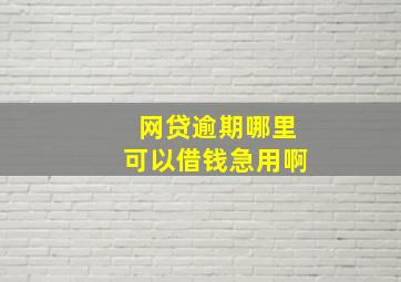 网贷逾期哪里可以借钱急用啊