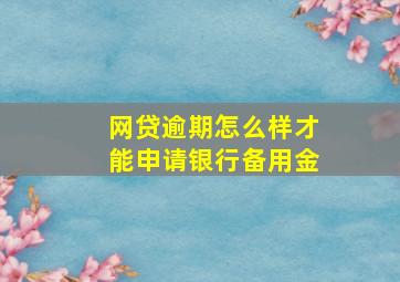 网贷逾期怎么样才能申请银行备用金