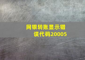 网银转账显示错误代码20005