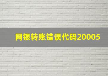 网银转账错误代码20005