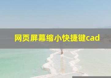 网页屏幕缩小快捷键cad