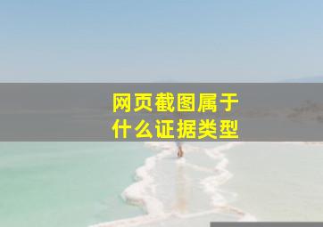 网页截图属于什么证据类型