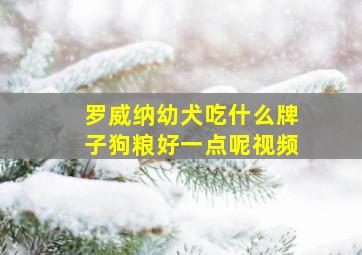 罗威纳幼犬吃什么牌子狗粮好一点呢视频