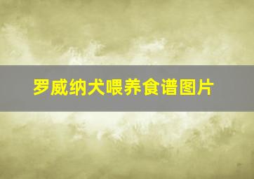 罗威纳犬喂养食谱图片