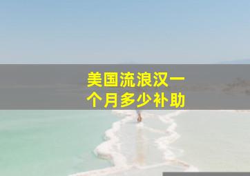 美国流浪汉一个月多少补助