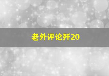 老外评论歼20