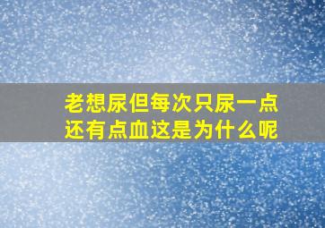 老想尿但每次只尿一点还有点血这是为什么呢