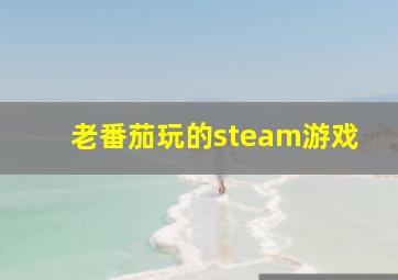 老番茄玩的steam游戏