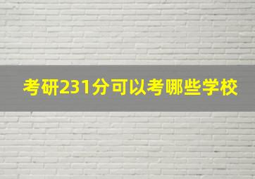 考研231分可以考哪些学校