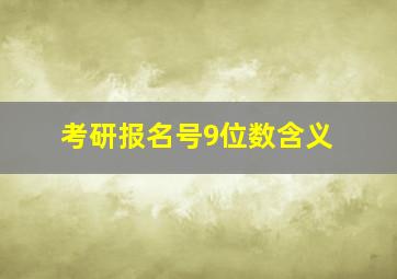 考研报名号9位数含义