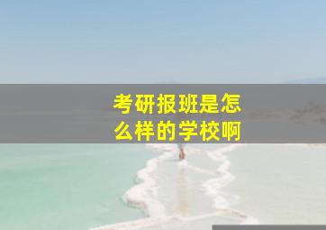 考研报班是怎么样的学校啊