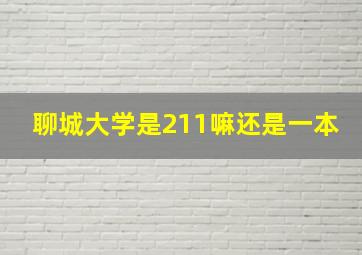 聊城大学是211嘛还是一本