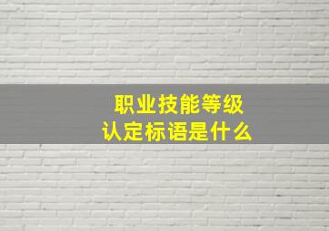 职业技能等级认定标语是什么