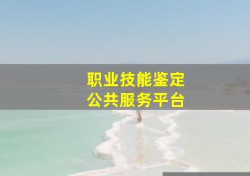 职业技能鉴定公共服务平台